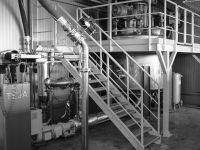 Mastic Plant